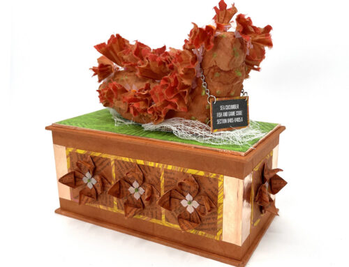 The World’s Leading Authority on Sea Cucumber Crime