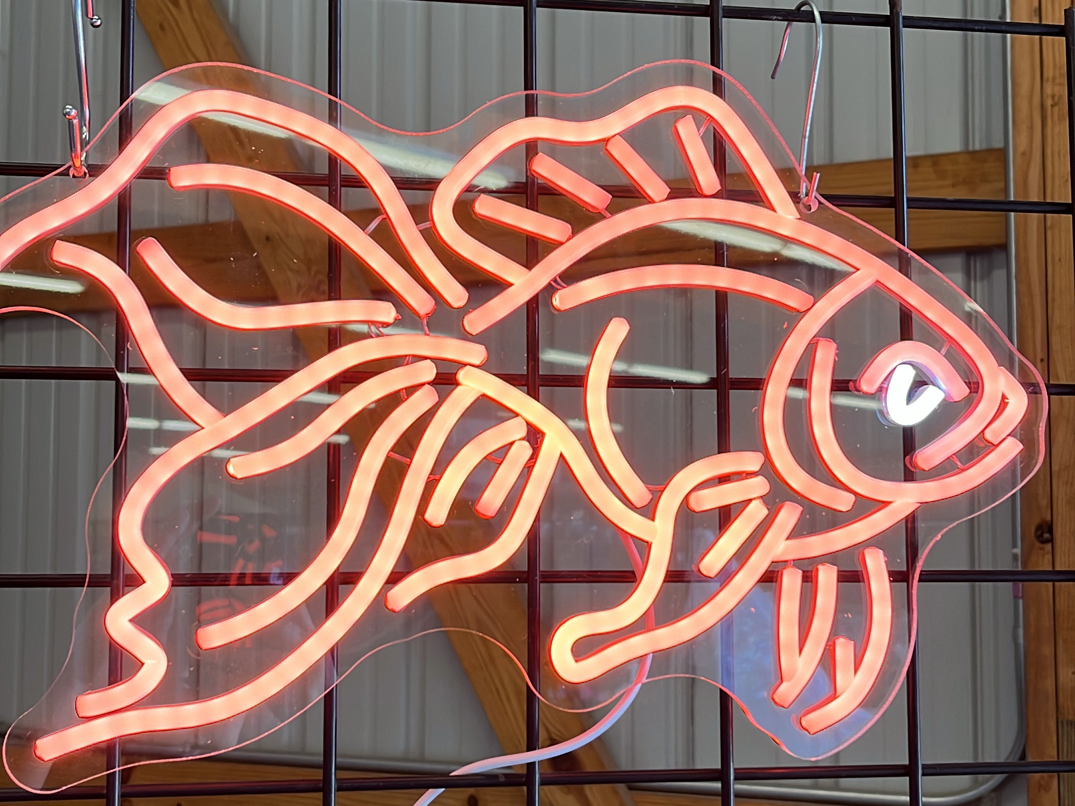 fish